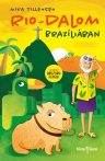 Mika Tillensen - Rio-dalom Brazíliában
